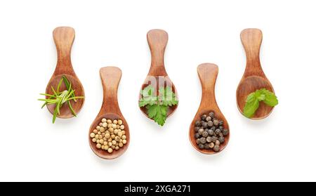 Ensemble de cuillères avec différentes épices et herbes culinaires isolées sur fond blanc. Vue de dessus Banque D'Images