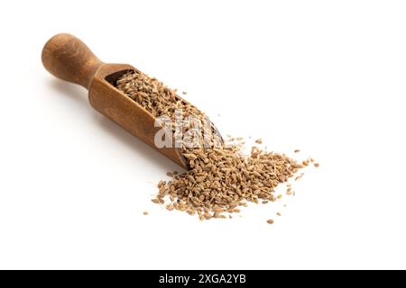 Graines d'épices anis dans une cuillère en bois isolée sur fond blanc.Copier l'espace Banque D'Images
