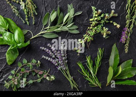 Herbes fraîches du jardin, photo de dessus sur fond noir. Des brioches de romarin, de thym, de lavande et d'autres plantes aromatiques culinaires Banque D'Images