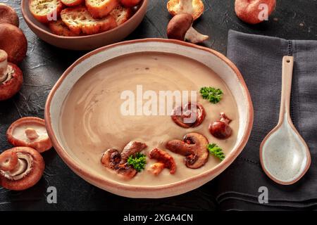 Soupe à la crème de champignons aux divers champignons, garnie de persil, avec une cuillère rustique, sur fond d'ardoise noire Banque D'Images