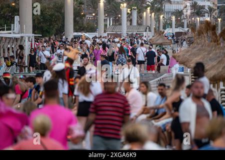 Touristen am Abend an der Promenade der Playa de PalmaMittelmeerinsel Mallorca während der Hauptsaison im Juli 2024, Palma Mallorca Spanien Playa de Palma *** touristes le soir sur la promenade de Playa de Palma île méditerranéenne Majorque pendant la haute saison en juillet 2024, Palma Mallorca Espagne Playa de Palma Banque D'Images