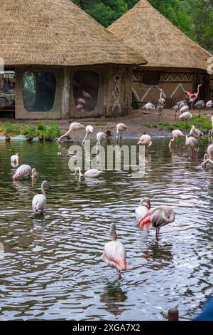 Jihlava, République tchèque - 4 juillet 2024 : intérieur des pavillons d'un zoo moderne Banque D'Images