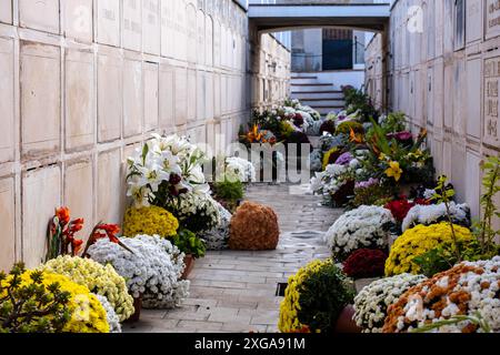 Niches, Alqueria Blanca et cimetière Calonge, Santanyi, Majorque, Îles Baléares, Espagne Banque D'Images