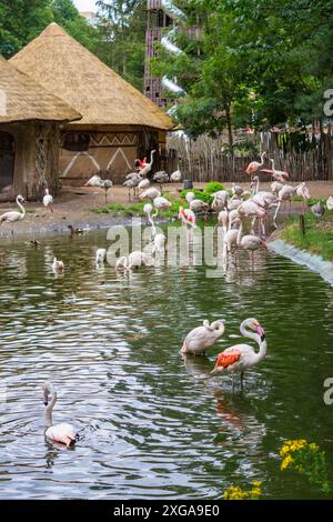 Jihlava, République tchèque - 4 juillet 2024 : intérieur des pavillons d'un zoo moderne Banque D'Images