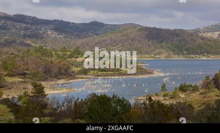 Un lac entouré d'arbres et de collines verdoyantes par temps nuageux, réservoir de Gadouras, Rhodes, Dodécanèse, îles grecques, Grèce Banque D'Images