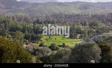 Prairies vertes et forêts dans un paysage vallonné sous un ciel nuageux, réservoir de Gadouras, Rhodes, Dodécanèse, îles grecques, Grèce Banque D'Images