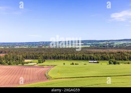 Vue paysage avec un champ labouré Banque D'Images