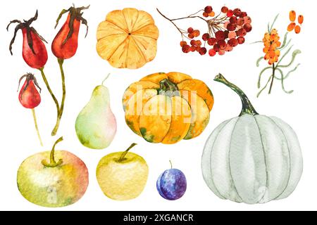 Aquarelle ensemble d'automne avec des citrouilles, des branches, des baies, des fruits, des feuilles, ensemble d'éléments d'automne. Illustration aquarelle. Dessiné à la main, compositio d'automne Banque D'Images