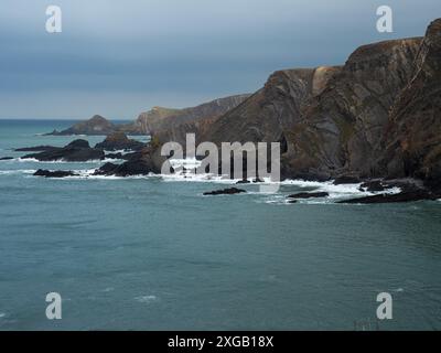 Plis dans la roche sédimentaire des falaises côtières, Hartland Quay, Hartland Peninsula, Devon, Angleterre, Royaume-Uni, octobre 2022 Banque D'Images