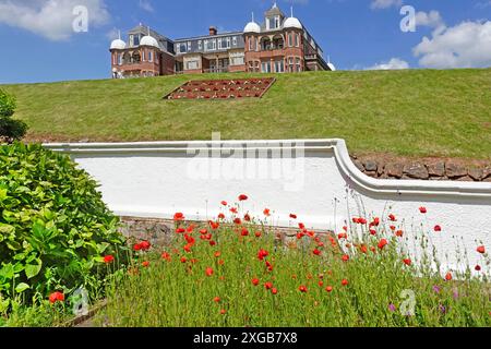 Coquelicots dans le mur de limite de front de fleur à Victoria Hôtel construisant un lieu de luxe quatre étoiles sur un emplacement de bord de mer vallonné à Sidmouth South Devon Angleterre Royaume-Uni Banque D'Images