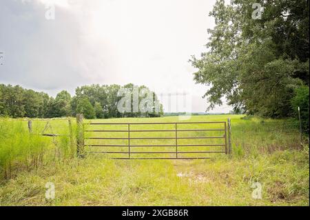 Portail métallique ouvrant sur un large champ vert avec des arbres et un ciel nuageux Banque D'Images