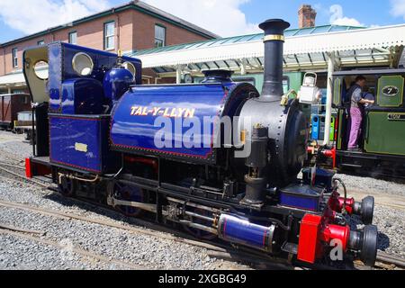 No 1, Tal y Llyn, voie étroite, vapeur, locomotive, gare de Tywyn Wharf, Banque D'Images