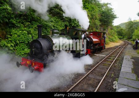 Tal y Llyn , voie étroite, chemin de fer à vapeur, locomotive, No 3, Sir Haydn, Nant Gwernol, Banque D'Images