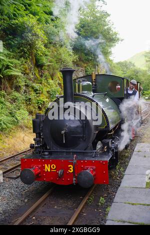 Tal y Llyn , voie étroite, chemin de fer à vapeur, locomotive, No 3, Sir Haydn, Nant Gwernol, Banque D'Images