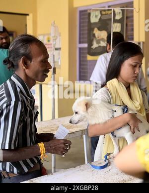 Un chien reçoit un traitement et une vaccination à l'occasion de la Journée mondiale des zoonoses à l'hôpital vétérinaire d'État d'Agartala. La Journée mondiale des zoonoses est célébrée le 6 juillet de chaque année pour sensibiliser aux maladies qui peuvent être transmises des animaux aux humains et commémorer le jour où Louis Pasteur a administré avec succès le premier vaccin contre le virus de la rage le 6 juillet 1885. Agartala, Tripura, Inde. Banque D'Images