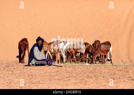 Touareg au marché de la chèvre au Sahara en Algérie Banque D'Images