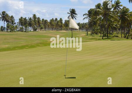 Vue sur le parcours de golf côtier avec des cocotiers en arrière-plan. cocotier palmier Banque D'Images