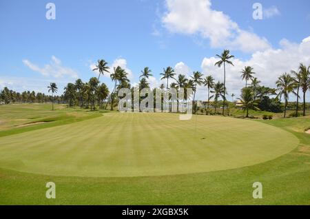 Vue sur le parcours de golf côtier avec des cocotiers en arrière-plan. cocotier palmier Banque D'Images