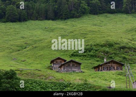 Deux cabanes en bois nichées dans une colline verdoyante entourée d'une forêt dense Banque D'Images