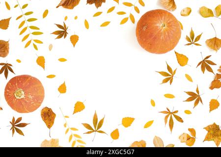 Composition automnale avec feuilles oranges et citrouilles sur blanc. Plat, vue de dessus Banque D'Images