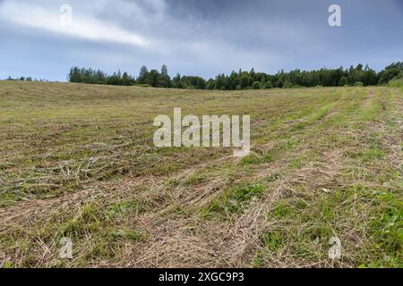 Photo de fond de paysage rural. Le champ fauché est sous un ciel nuageux Banque D'Images