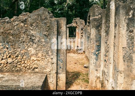 Ruines de Gedi dans la ville de Gede - Une colonie côtière médiévale swahili dans les réserves forestières Arabuko Sokoke à Malindi, au Kenya Banque D'Images