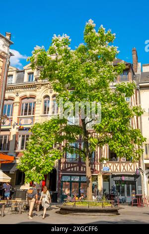 France, Seine maritime, Rouen, place de la Pucelle en hommage à Jeanne d'Arc brûlée vif non loin de là Banque D'Images