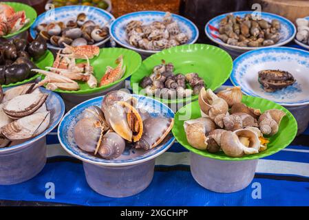 Clamfish au marché Xa Tay à Cholon (Chinatown de Saigon), Ho Chi Minh ville, Vietnam. Banque D'Images