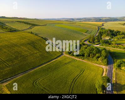 France, Yonne, Coulanges la Vineuse, champs (vue aérienne) Banque D'Images