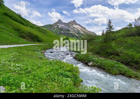 L'eau de la fonte des neiges dans les Alpes du Vorarlberg coule dans le ruisseau, la neige sur les montagnes fond et devient une rivière, une prairie fleurie verte Banque D'Images