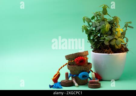 Planter des graines d'amour et de soin ce Raksha Bandhan Banque D'Images