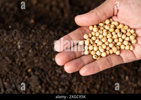 Main d'un agriculteur expert semant des graines de légumes sur un sol sain à la ferme biologique. Main sale de fermier professionnel semant des graines de légume sur le sol Banque D'Images