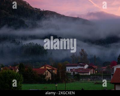 Brouillard matinal, Ucieda, parc naturel de Saja-Besaya, Cantabrie, Espagne. Banque D'Images