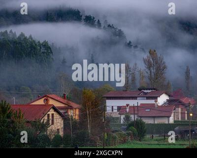 Brouillard matinal, Ucieda, parc naturel de Saja-Besaya, Cantabrie, Espagne. Banque D'Images