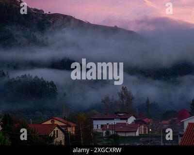 Brouillard matinal, Ucieda, parc naturel de Saja-Besaya, Cantabrie, Espagne. Banque D'Images