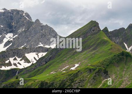 Pente raide des alpes autrichiennes, avec prairie verte juste au sommet de la montagne et petite ferme alpine en bois, herbe verte et pâturage fleuri Banque D'Images