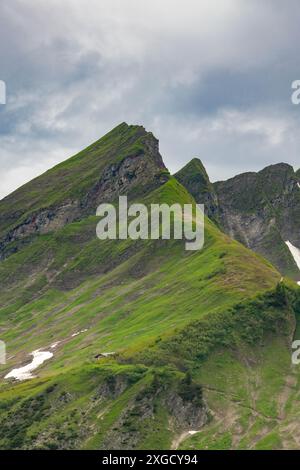 Pente raide des alpes autrichiennes, avec prairie verte juste au sommet de la montagne et petite ferme alpine en bois, herbe verte et pâturage fleuri Banque D'Images