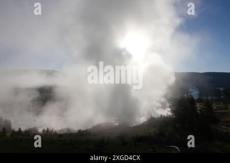 Tôt le matin Yellowstone, Sulphur Caldron Steam Banque D'Images