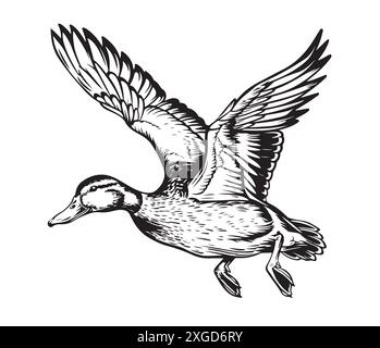 Dessin de canard volant illustration vectorielle peinte chasse aux oiseaux Illustration de Vecteur