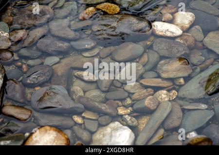 Gros plan de cailloux à l'intérieur de l'eau peu profonde, rive de la rivière. Image de fond zen et relaxante Banque D'Images