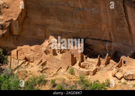 Long House Cliff Dwelling site archéologique des peuples indigènes Pueblo et Anasazi, parc national de Mesa Verde, Colorado, États-Unis. Banque D'Images