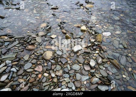 Gros plan des galets de rivière dans l'eau peu profonde, rive de la rivière. Image de fond zen et relaxante Banque D'Images