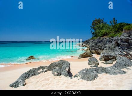 Pink Beach, Rive-Sud, Smiths Parish, Bermudes, Atlantique, Amérique du Nord Banque D'Images