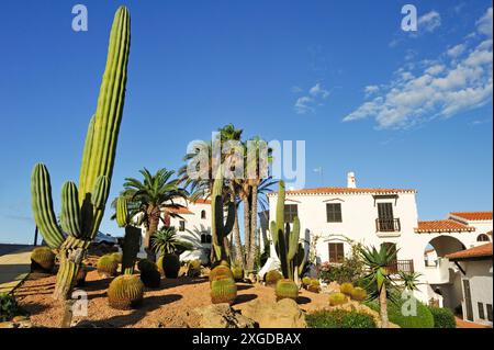 Platges de Fornells, station balnéaire, Minorque, Îles Baléares, Espagne, Méditerranée, Europe Banque D'Images