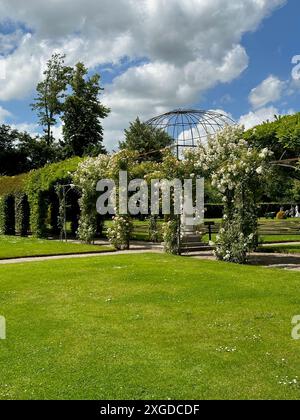 Tunnels faits de plantes et d'herbe verte dans le parc Banque D'Images