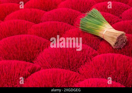 Bâtons d'encens rouges vibrants et paquet d'encens verts disposés sur le sol pour sécher au soleil à Quang Phu Cau, Ung Hoa, Nord Vietnam, Asie en juin Banque D'Images