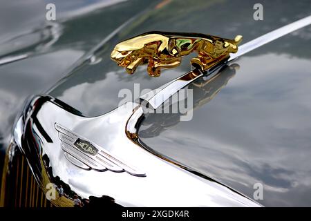 Gros plan d'une mascotte de capot chat en plaqué or montée sur une Jaguar MkVIII de 1958 contrastant avec la calandre chromée et la garniture du capot. Banque D'Images