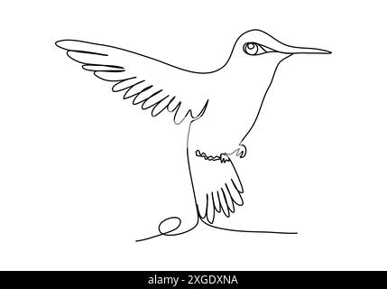 Hummingbird, illustration vectorielle de dessin d'une ligne. Illustration de Vecteur