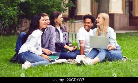 Les étudiants ayant de la discussion sur l'herbe du campus Banque D'Images