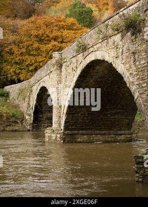 La rivière Teme à Ludlow dans le Shropshire, Engl Banque D'Images